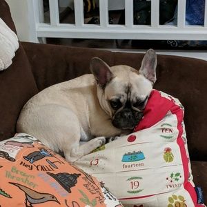 Meet your Posher, Sara